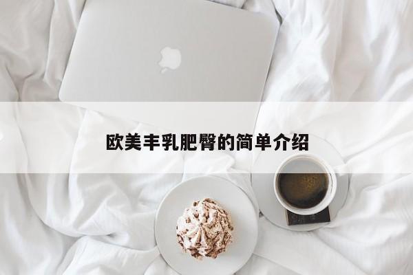 欧美丰乳肥臀的简单介绍  第1张