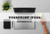 梦见捉鱼虾周公解梦（梦见捉鱼）