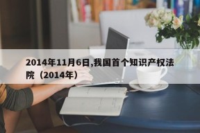 2014年11月6日,我国首个知识产权法院（2014年）