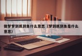 做梦梦到抓到鱼什么意思（梦到抓到鱼是什么意思）